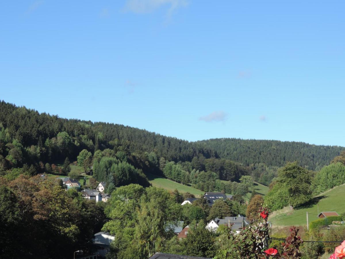 Sonnenblick Rittersgruen I Apartment Breitenbrunn  Exterior foto